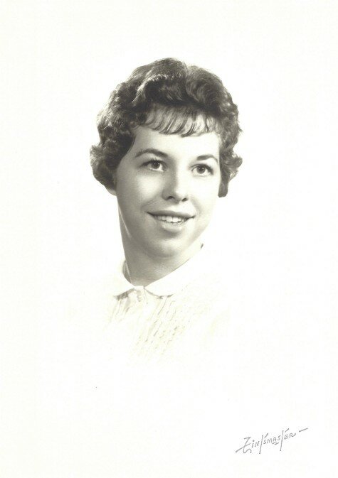 Donna Stein