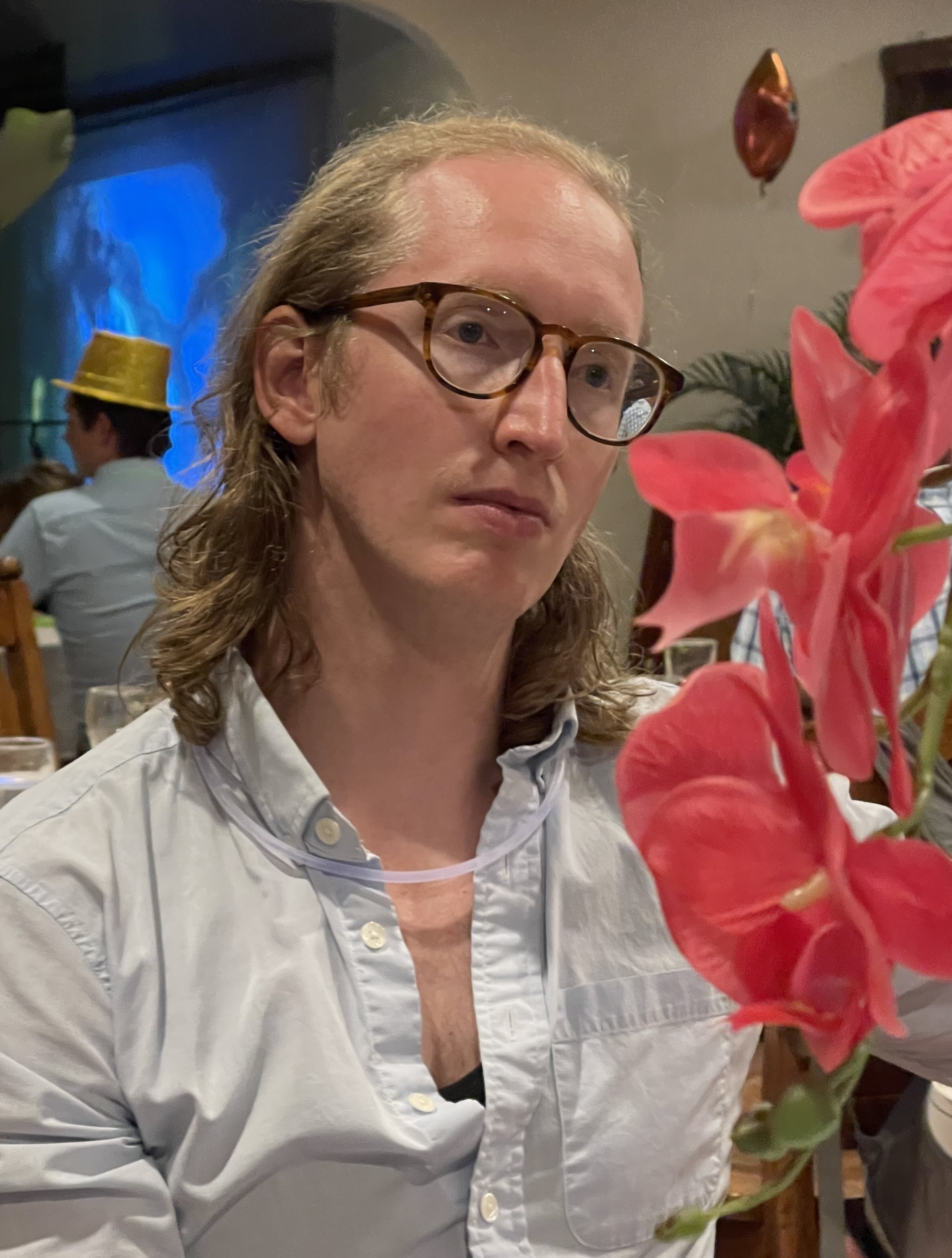 Daniel Mark Schulte-Sasse